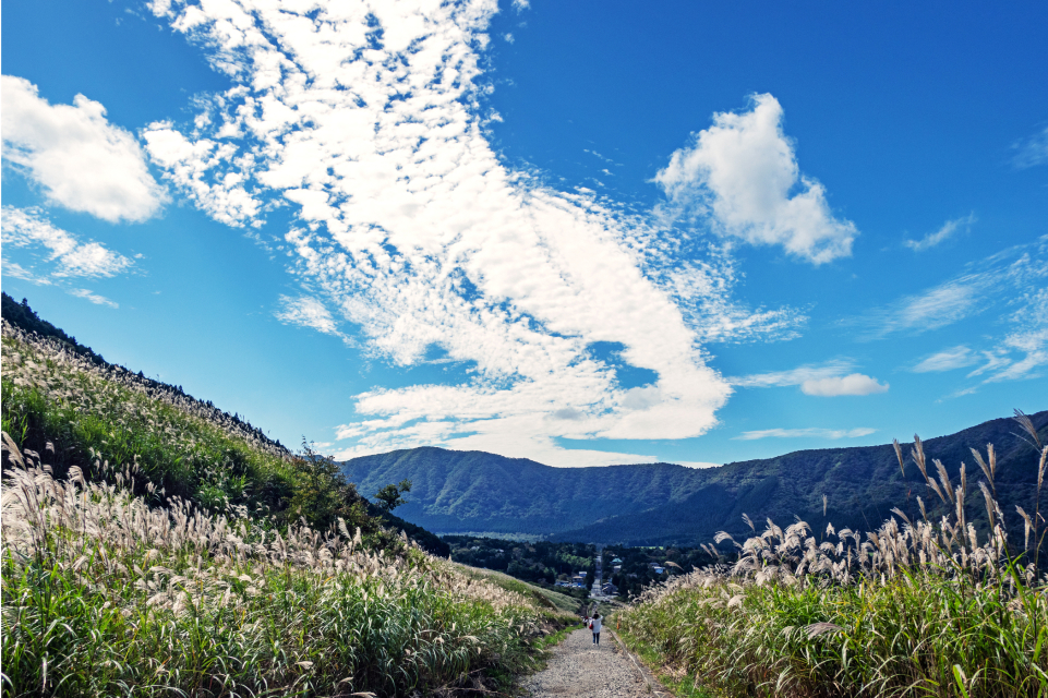 箱根仙石原