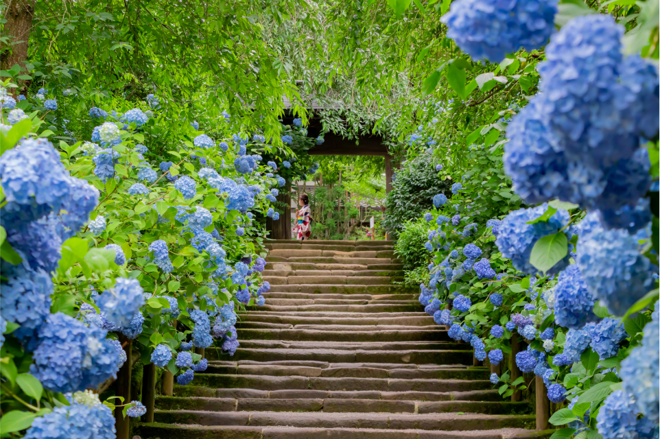神奈川県鎌倉